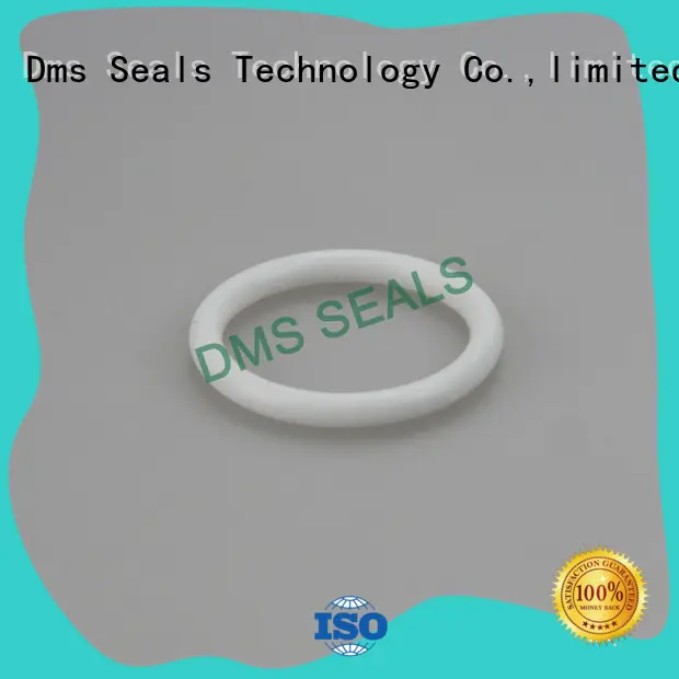FFKM Kalrez O-Ring high temperature seal 1