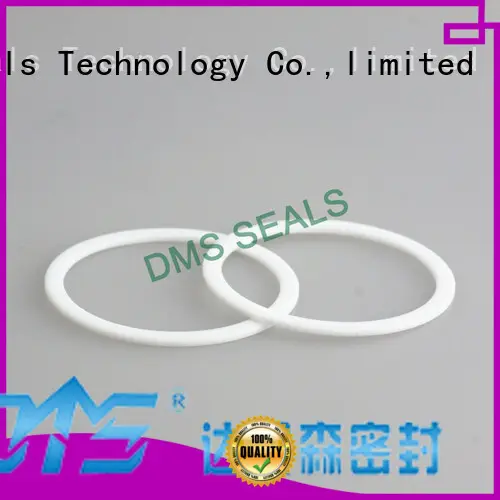 Virgin PTFE Back-Up Ring 1