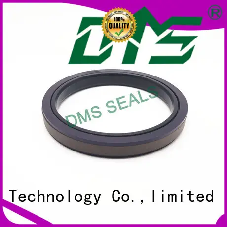 Hydraulic Compact Piston Seal SPGW1 1