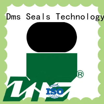 DMS Seal Manufacturer best rod seal catalogue supplier for sale 1