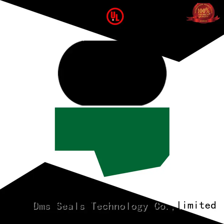 hydraulic rod seals to high and low speed DMS Seal Manufacturer 1
