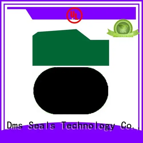 DMS Seal Manufacturer compact o-ring seal for light and medium hydraulic systems 1