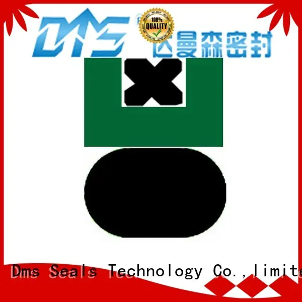 DMS Seal Manufacturer o-ring seal glyd ring for pneumatic equipment 1