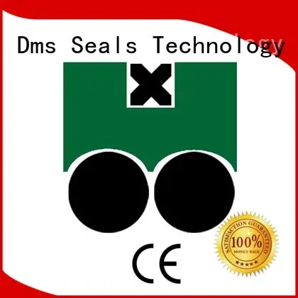 DMS Seal Manufacturer hydraulic piston seals glyd ring for pneumatic equipment 1