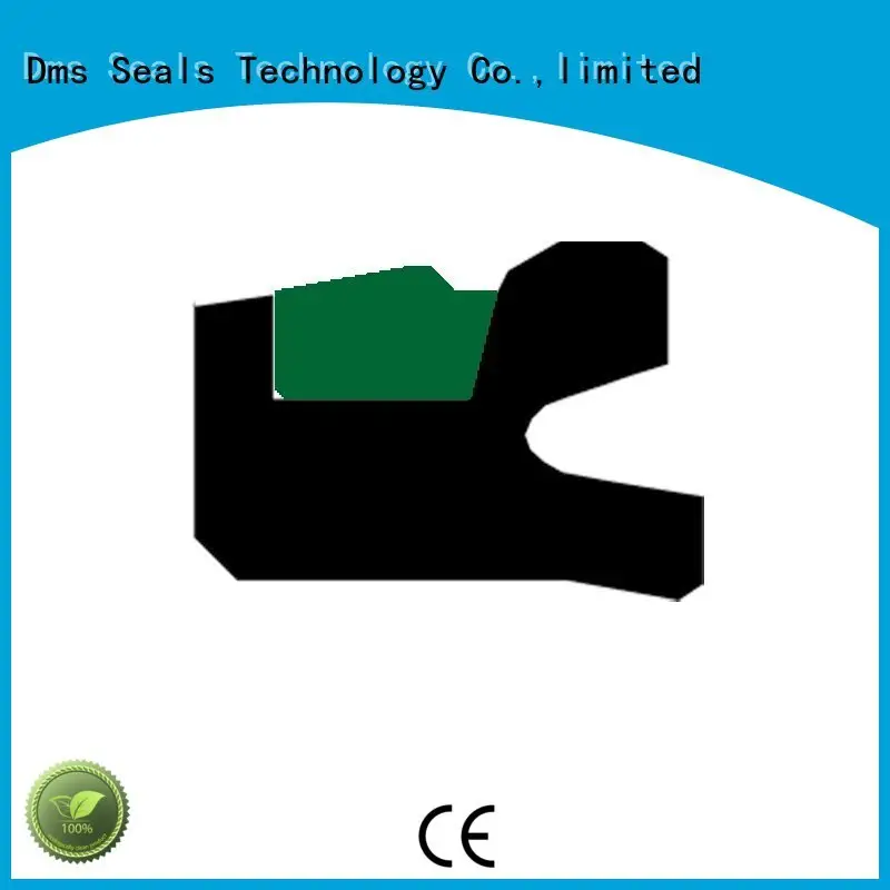 hydraulic piston seals for light and medium hydraulic systems DMS Seal Manufacturer 1