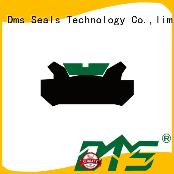 pneumatic piston seals for sale DMS Seal Manufacturer 1