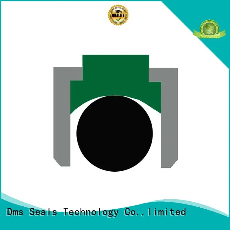 o-ring seal for pneumatic equipment DMS Seal Manufacturer 1