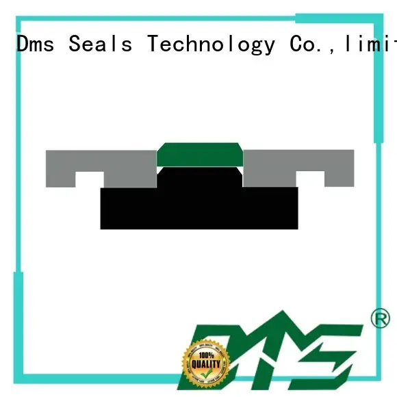 DMS Seal Manufacturer hydraulic piston seals sizes manufacturer for sale 1
