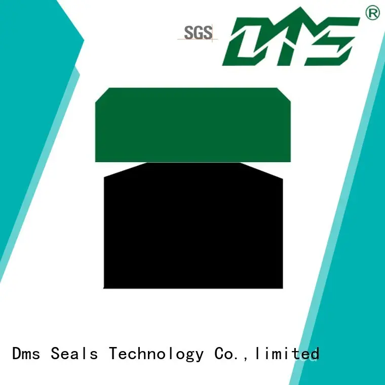 DMS Seal Manufacturer hydraulic piston seals sizes glyd ring for light and medium hydraulic systems 1