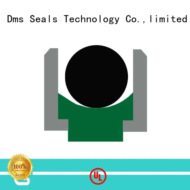 DMS Seal Manufacturer o-ring seal with nbr or fkm o ring to high and low speed 1