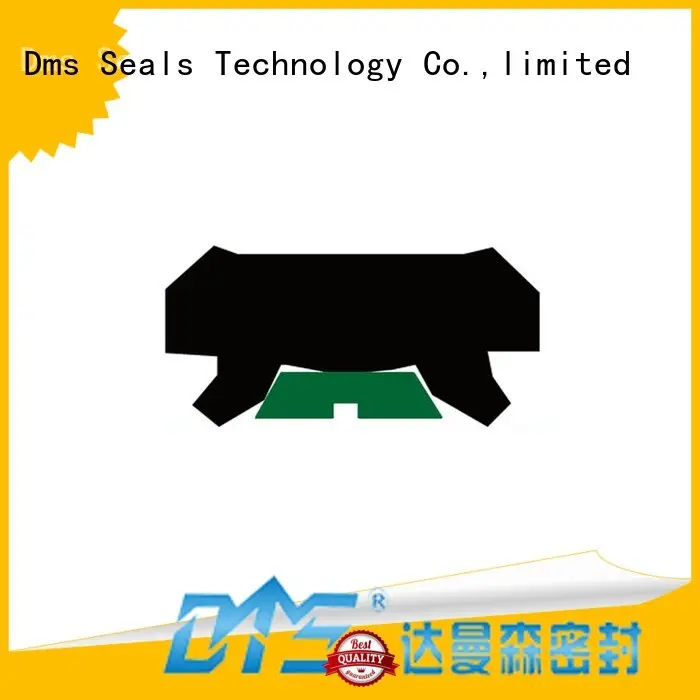 rod seals with nbr or pu for sale DMS Seal Manufacturer 1