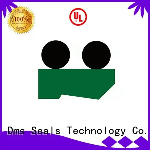 DMS Seal Manufacturer rod wiper seals with nbr or fkm o ring for injection molding machines 1