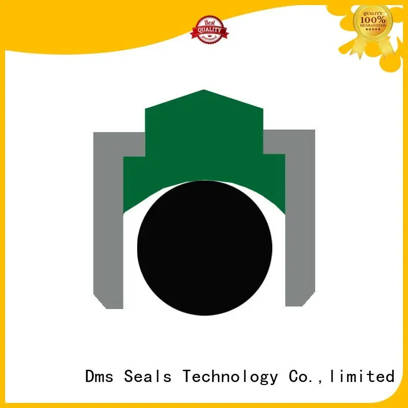 rotary seals for construction machinery DMS Seal Manufacturer 1
