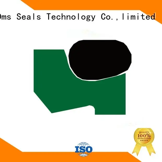 DMS Seal Manufacturer metric wiper seal supplier for injection molding machines 1