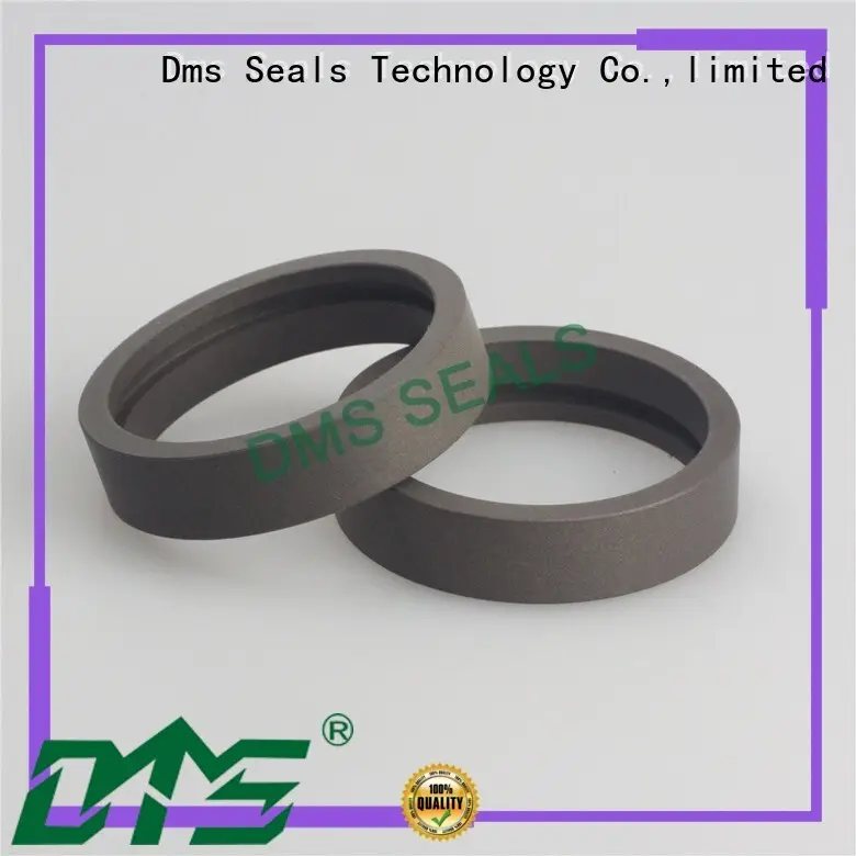 bearing element as the guide sleeve DMS Seal Manufacturer 1