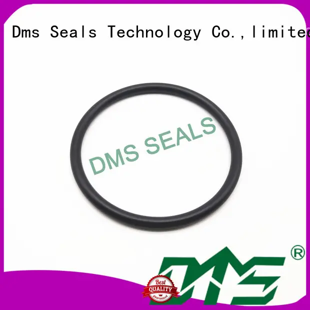 o ring kit manufacturer in highly aggressive chemical processing DMS Seal Manufacturer 1