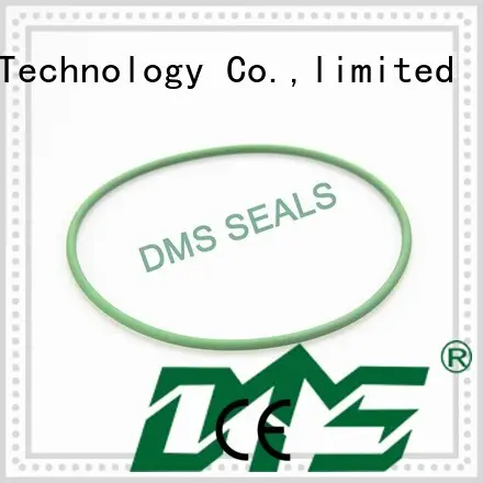 o ring kit manufacturer design for static sealing DMS Seal Manufacturer 1