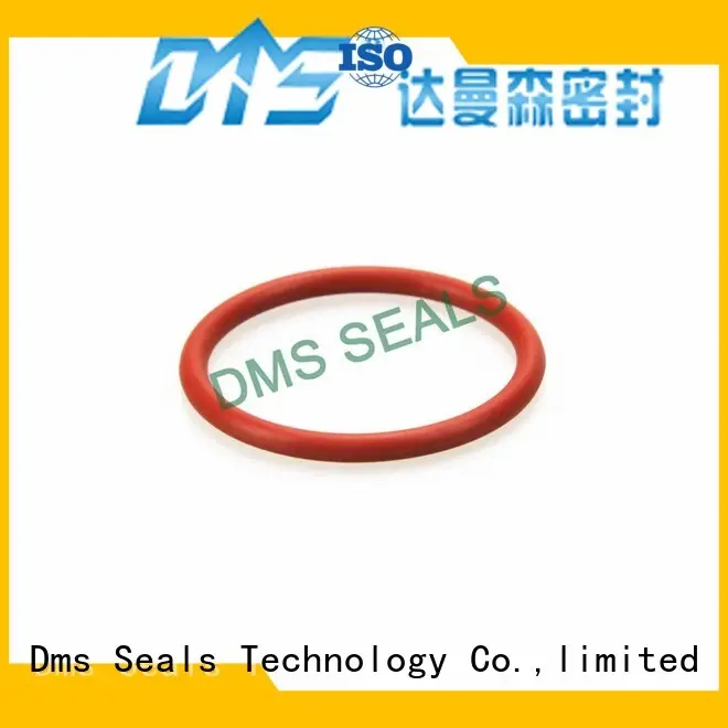 DMS Seal Manufacturer fda O Ring Manufacturer in highly aggressive chemical processing 1