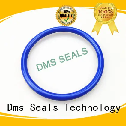 DMS Seal Manufacturer pu o ring kit manufacturer in highly aggressive chemical processing 1