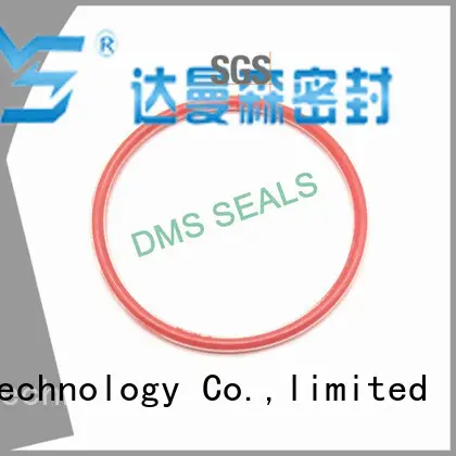 pfa o ring seal supplier online for static sealing DMS Seal Manufacturer 1