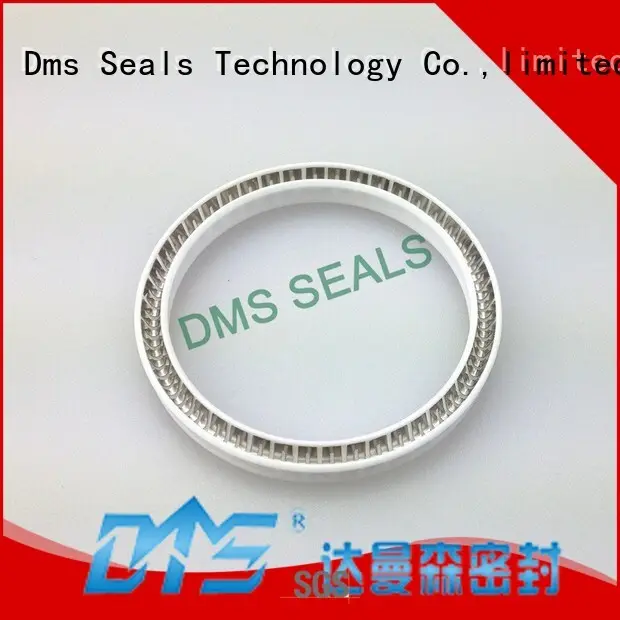 spring energized seals solutions for reciprocating piston rod or piston single acting seal DMS Seal Manufacturer 1