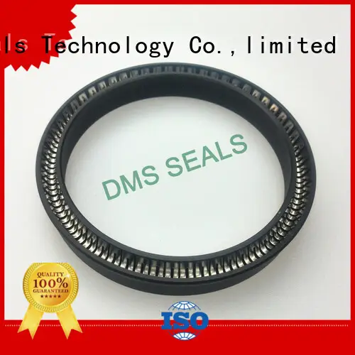 DMS Seal Manufacturer ptfe spring seals for reciprocating piston rod or piston single acting seal 1