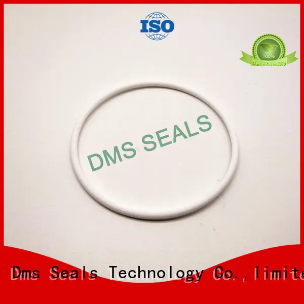 DMS Seal Manufacturer o ring kit manufacturer with a diisocyanate or a polymeric isocyanate in highly aggressive chemical processing 1