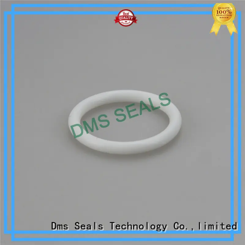 wiper seal design for static sealing DMS Seal Manufacturer 1