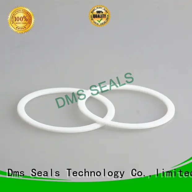 DMS Seal Manufacturer value rubber elastomeric gasket for liquefied gas 1