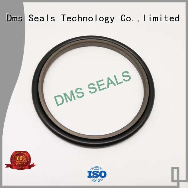 hydraulic cylinder piston seals for larger piston clearance DMS Seal Manufacturer 1