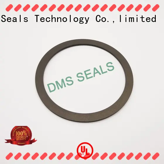 ptfe gasket material ring for liquefied gas DMS Seal Manufacturer 1