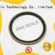 DMS Seal Manufacturer piston seals supplier for piston and hydraulic cylinder 1