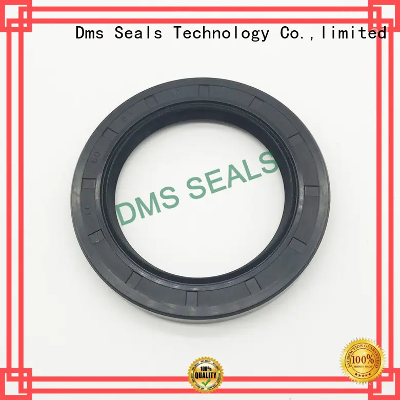 Oil Seals for housing DMS Seal Manufacturer 1