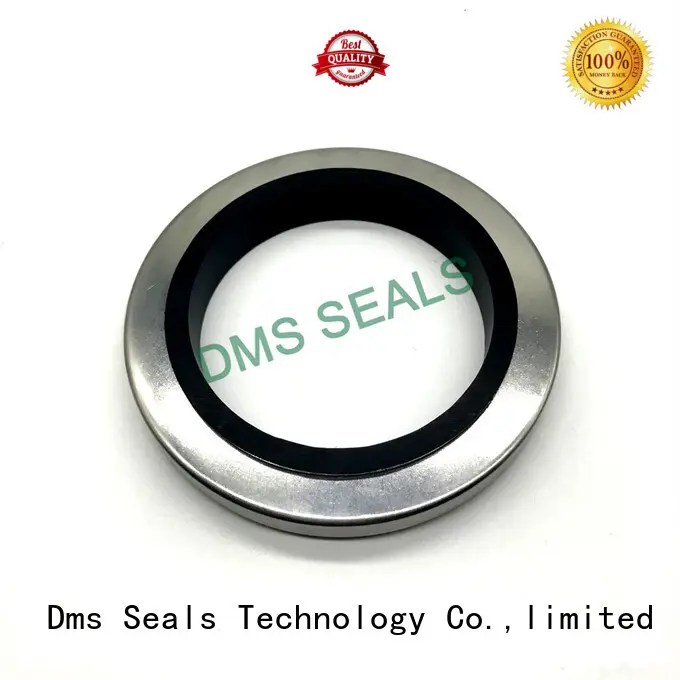 oil seal ring with low radial forces for sale DMS Seal Manufacturer 1
