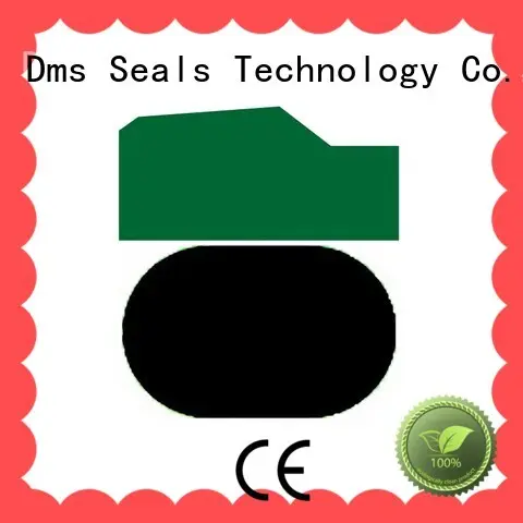 hydraulic piston seals for sale DMS Seal Manufacturer 1