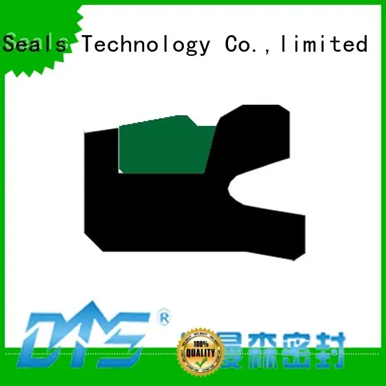 hydraulic cylinder piston seals with ptfe nbr and pom for pneumatic equipment DMS Seal Manufacturer 1