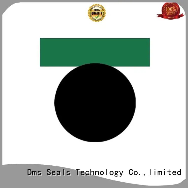DMS Seal Manufacturer rubber piston seals with ptfe nbr and pom for pneumatic equipment 1