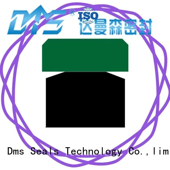 o-ring seal for light and medium hydraulic systems DMS Seal Manufacturer 1