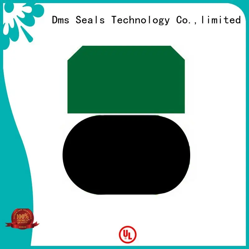 DMS Seal Manufacturer ptfe hydraulic piston seals with ptfe nbr and pom for sale 1