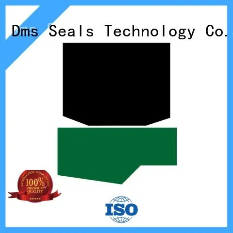 piston rod seal with nbr or fkm o ring for pressure work and sliding high speed occasions DMS Seal Manufacturer 1