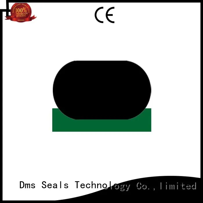 pneumatic rod seals for pressure work and sliding high speed occasions DMS Seal Manufacturer 1