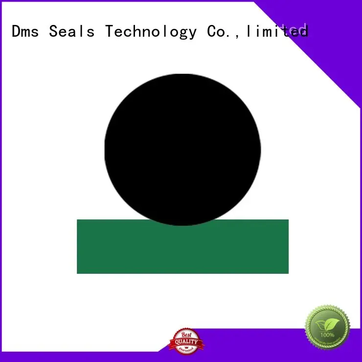 O Ring Manufacturers supplier for pressure work and sliding high speed occasions DMS Seal Manufacturer 1