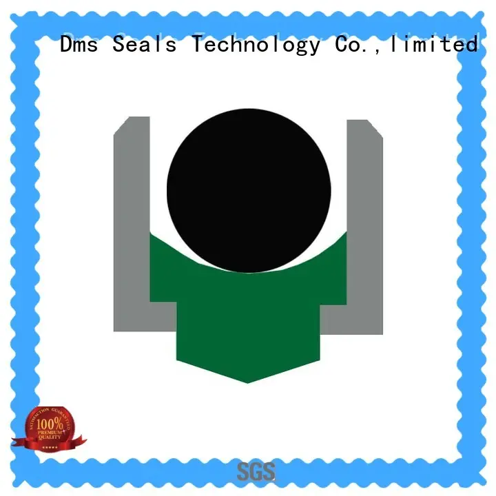 DMS Seal Manufacturer rotary shaft seals online for automotive equipment 1