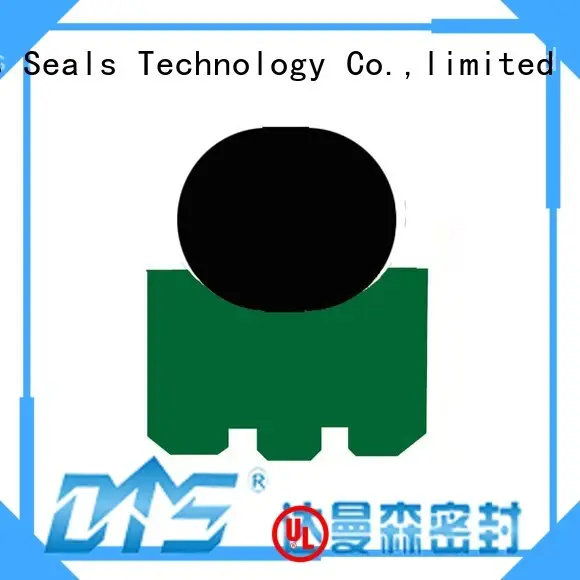 rotary seals for automotive equipment DMS Seal Manufacturer1 1