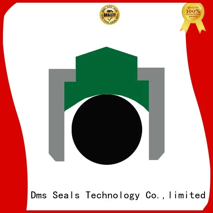 rotary seals with nbr or fkm o ring for construction machinery DMS Seal Manufacturer 1