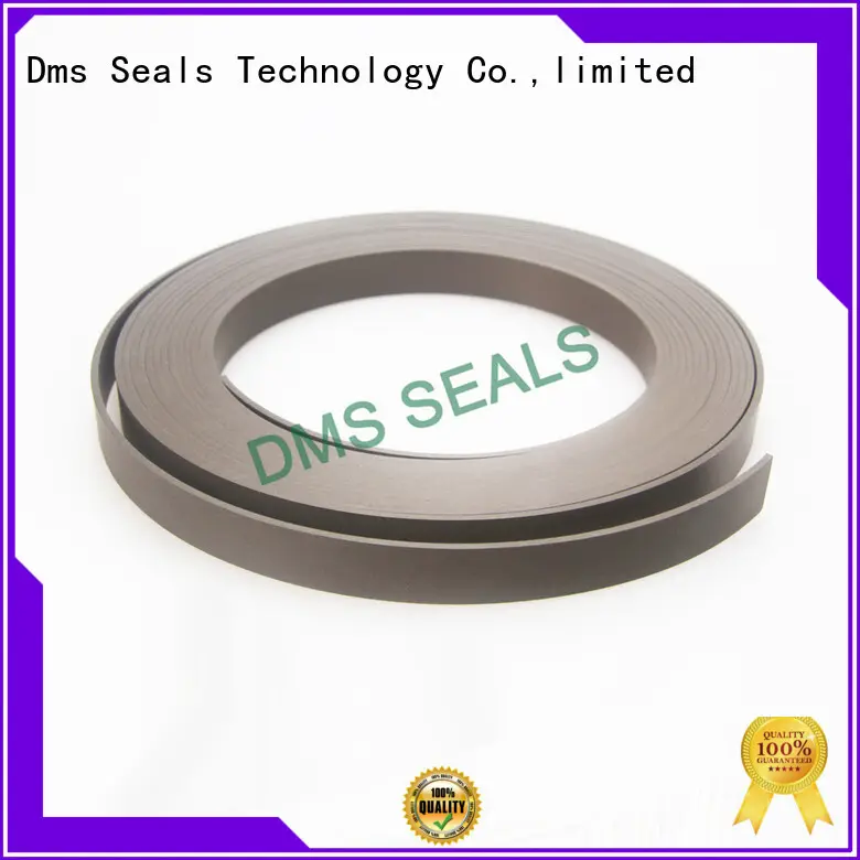 cylinder oil seal ring wear ring as the guide sleeve DMS Seal Manufacturer 1