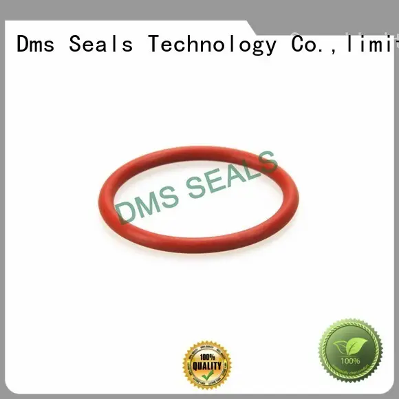 DMS Seal Manufacturer nitrile hydraulic wiper seals for sale 1