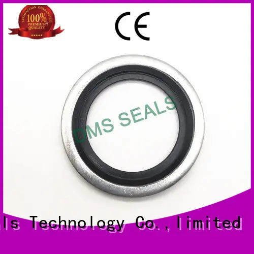 DMS Seal Manufacturer superior quality bonded seals catalogue for threaded pipe fittings and plug sealing 1
