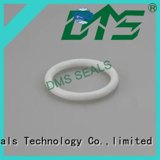 DMS Seal Manufacturer pu oil seal ring for sale 1