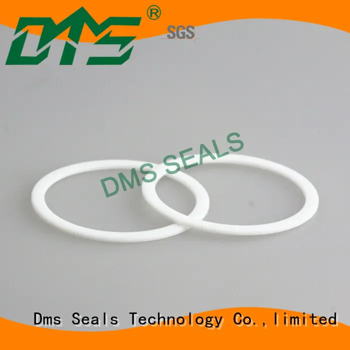 DMS Seal Manufacturer elastomeric gasket material for preventing the seal from being squeezed 1